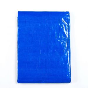 Standard 100 Gr/m² - 3 x 4 M - Blauw