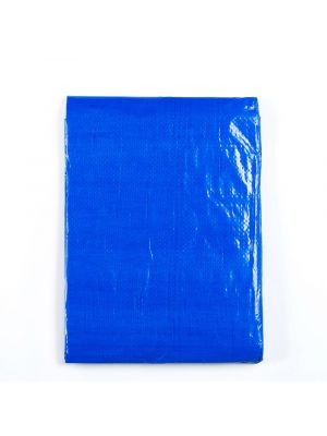 Standard 100 Gr/m² - 3 x 5 M - Blauw